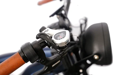 Long Range Beach Cruiser Electric Bike 48V 750W 26 Inch Fat Tire Ebike Beach Cruiser