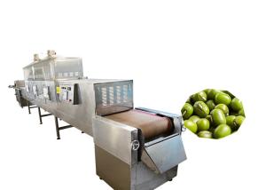 China 80KW Stainless Steel Food Sterilizer Machine Microwave Frequency For Beef Jerky wholesale