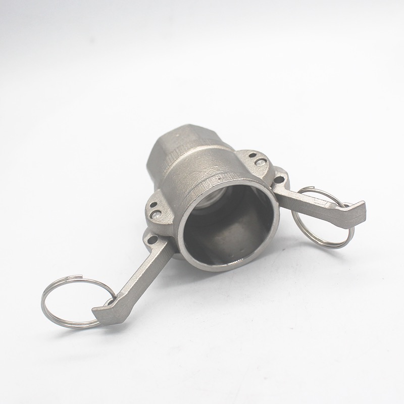 Customized SS 304 316 D type Camlock Quick Connectors for Water Gas Oil NPT BSP 1/4"-4