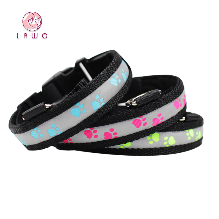 C903 Safety Nylon Webbing USB Rechargeable LED Pet Collar Leash Led Dog Collars in darkness