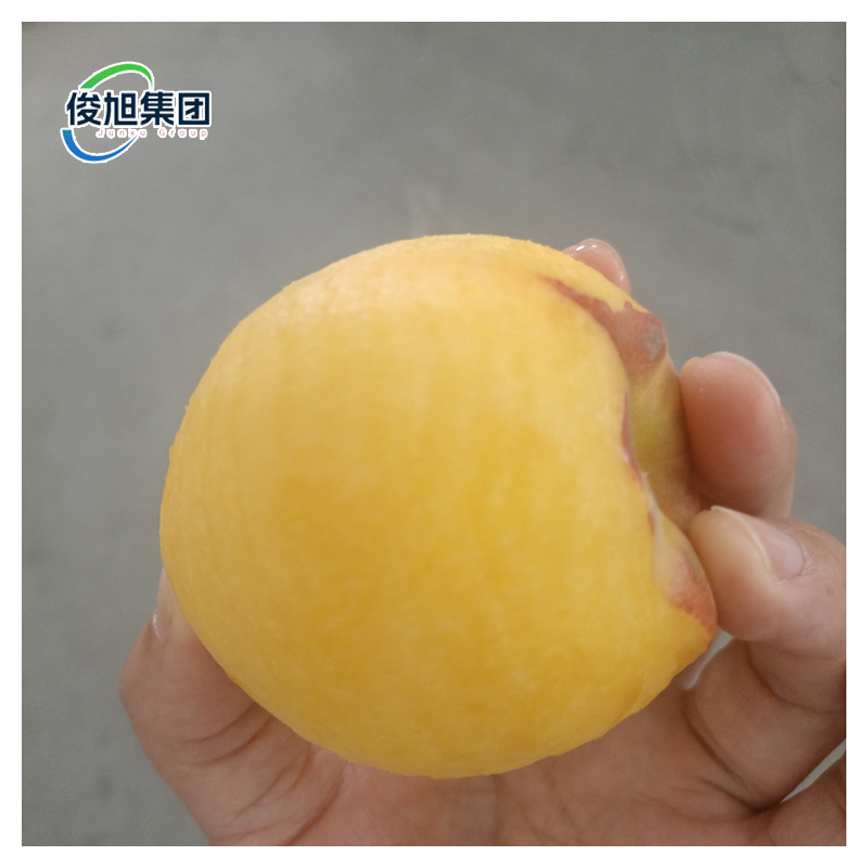 Customizable Capacity Automatic Peeling Machine Top Choice for Fruit Processing Plant