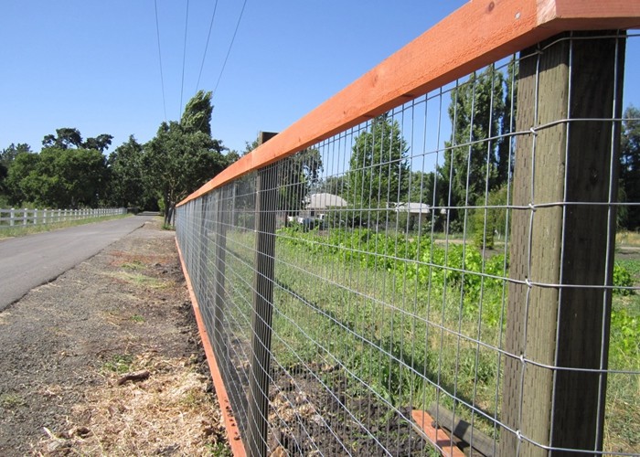 304 316 Stainless Steel Wire Mesh Fence / 0.5m-3m Metal Wire Mesh Roll