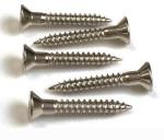 Stainless Steel Flat Self Tapping Screws Passivation Surface 6g Tolerance