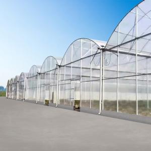 China Agricultural Farm Multispan Polycarbonate Panels Greenhouse with Shading System wholesale