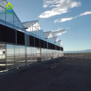 China Light Dep Blackout PC Sheet Greenhouse Hemp Flowerhouse Farmhouse Greenhouse wholesale
