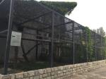 aviary mesh for Medium Pet Birds