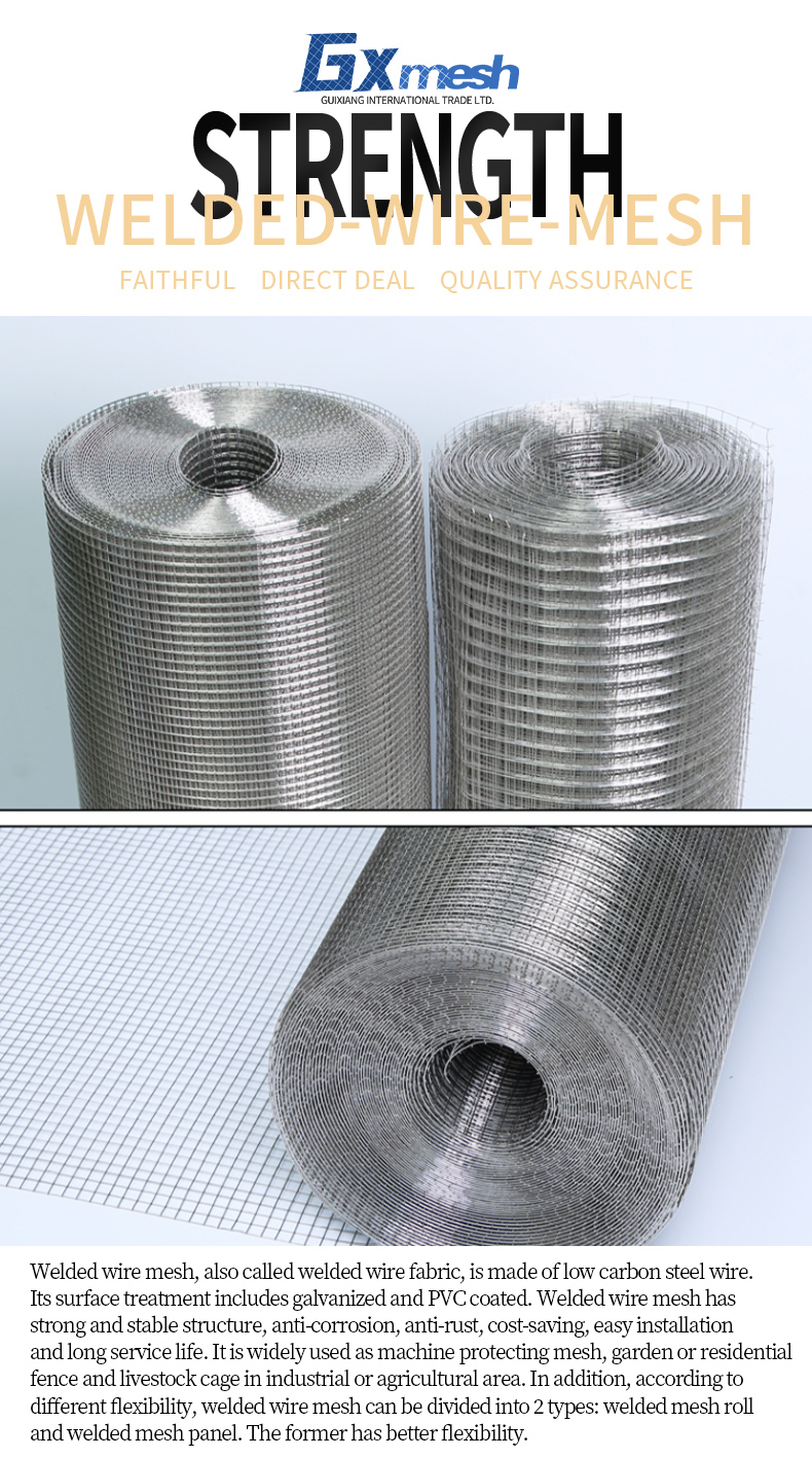 Hot dip galvanized chain link fence nets rat the snake home grid chicken net wire mesh welded wire mesh fence