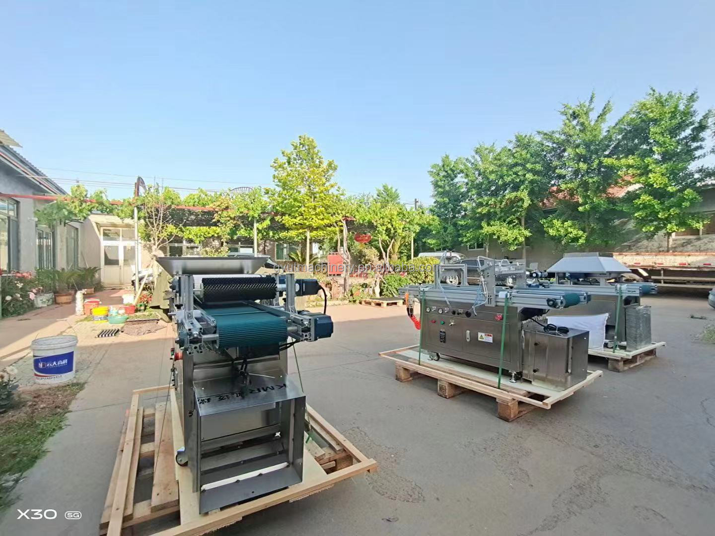 accuracy 10 Rows Vegetable Seeder for Seedling Tray Sowing Machines