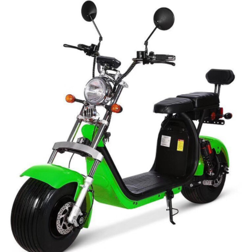 Eec Coc European Electric Scooter 120kg Long Range City Coco Fat Tire Scooter