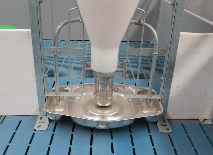 Stainless Steel And Plastic Automatic Pig Feeder , Wet Dry Hog Feeders