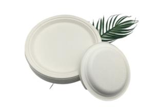 China 10&quot; 20g Bar Biodegradable Sugarcane Bagasse Plates wholesale