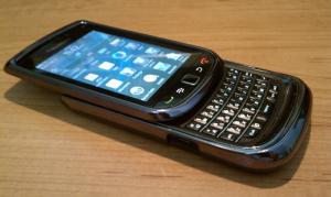 China Case for Blackberry Torch 9800 wholesale
