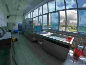 China Canteen Automatic Dishwasher Machine Channel Stable App Controlled Dishwasher wholesale