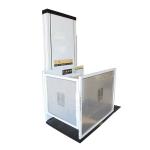 Apartment 250KG Porch Lift Elevator 9.5m Outdoor Vertical Wheelchair Lift