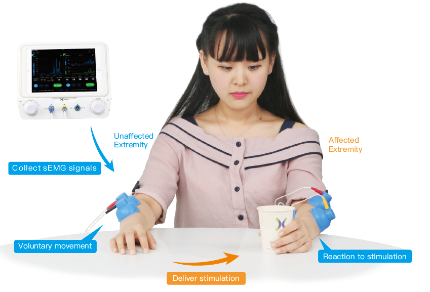 Portable SEMG Biofeedback Equipment With Medical Records Management