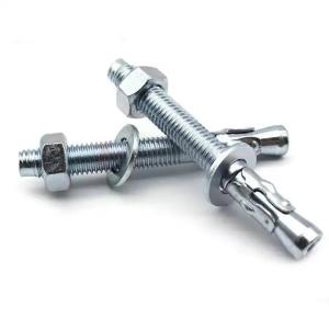 China 304 316 Polished Screw in Expansion Anchors for Hanging Holding Up wholesale