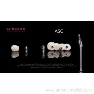 China Dental Implant Custom Abutment wholesale