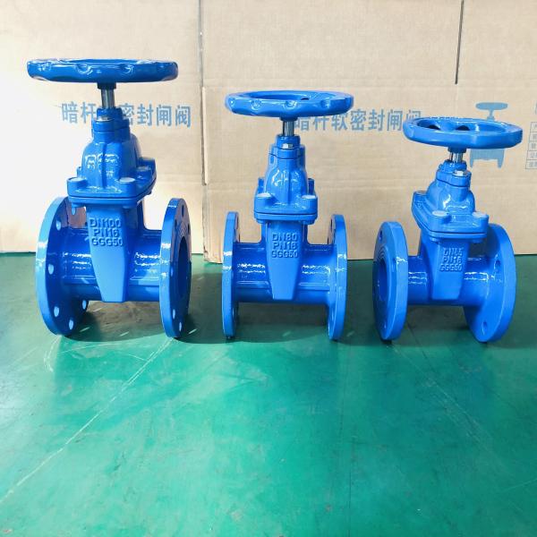 Jis Non Rising Stem Resilient Seat Ductile Iron Flange End Gate Valve