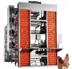 China Automatic Layer Battery Chicken Cages 4 Tiers 5 Tiers Agricultural Poultry Farming Cage wholesale