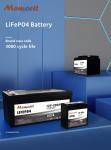 12V 100AH Lead Acid Replacement Battery LiFePO4 Lithium Battery