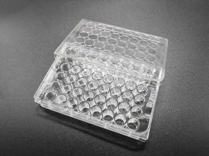 China Transparent TCT Tissue Culture Treatment 48 Well Cell Culture Plate Standard Packing wholesale