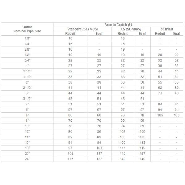 Raw color Duplex Steel Forged Pipe Fittings 6000 LBS 9000 LBS