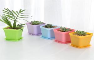 China Vegetable Garden PP Resin Not Brittle Round Flower Pots 9x6x8cm wholesale