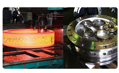 China Manufacture Forged Weld Neck Stainless Steel/Carbon Steel Flange