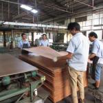 Grade E1 / E0 / P1 / P2 Natural Sapele Pommele Veneer 2745mm Lengthened For