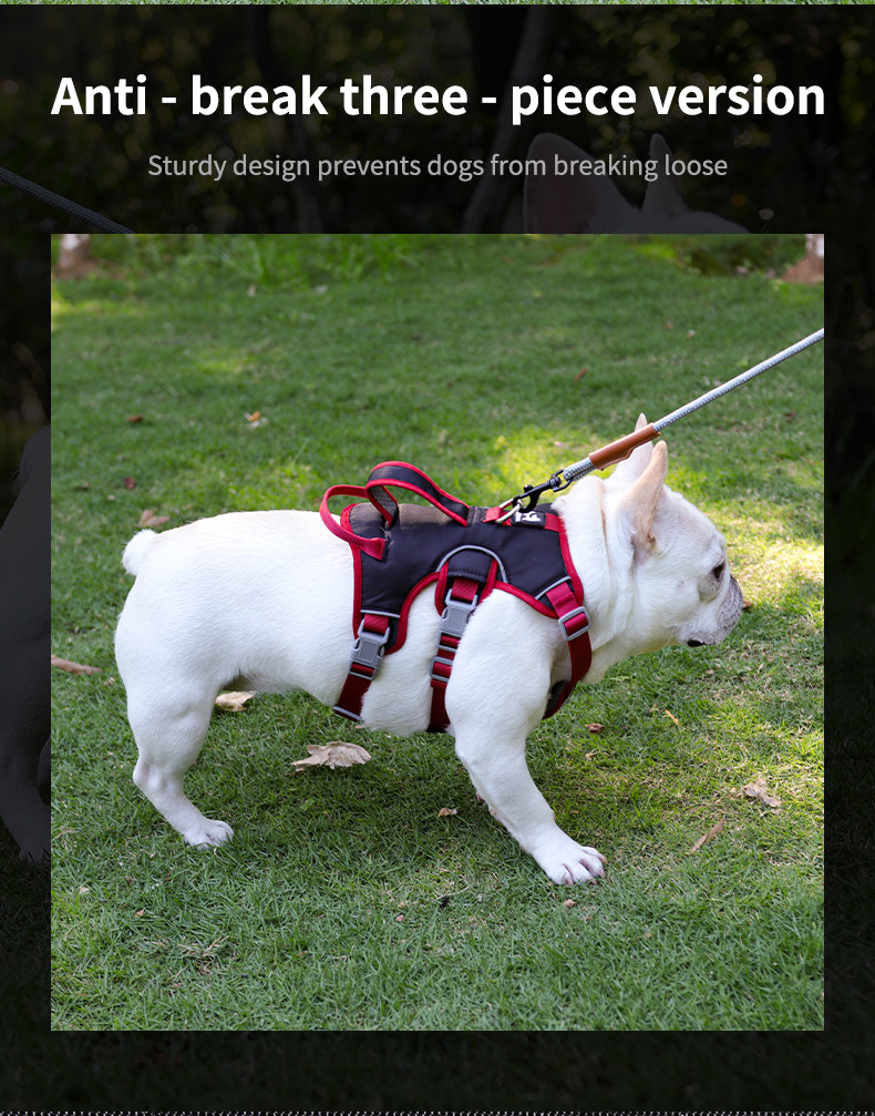Dog harness for small and medium sized dogs, anti-breakaway dog ​​leash, reflective anti-escape leash