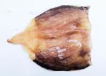 Fresh Roasted Squid No Starch