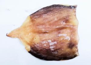 China Fresh Roasted Squid No Starch wholesale