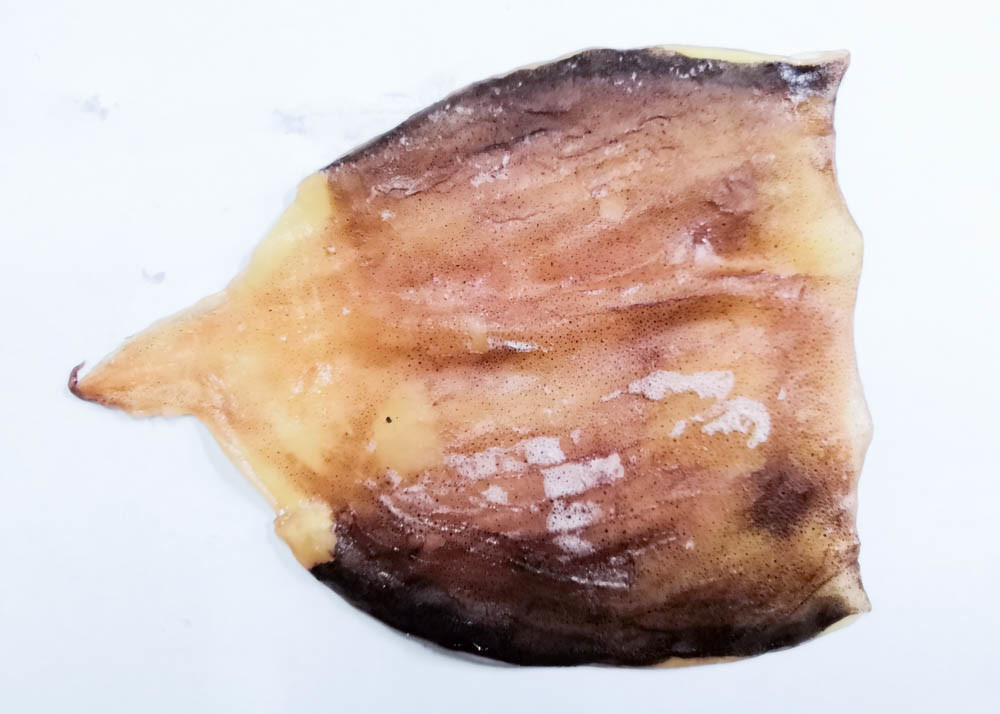 Shihan Seasoned Squid Body 1-014 For Fresh Roasted Squid No Starch