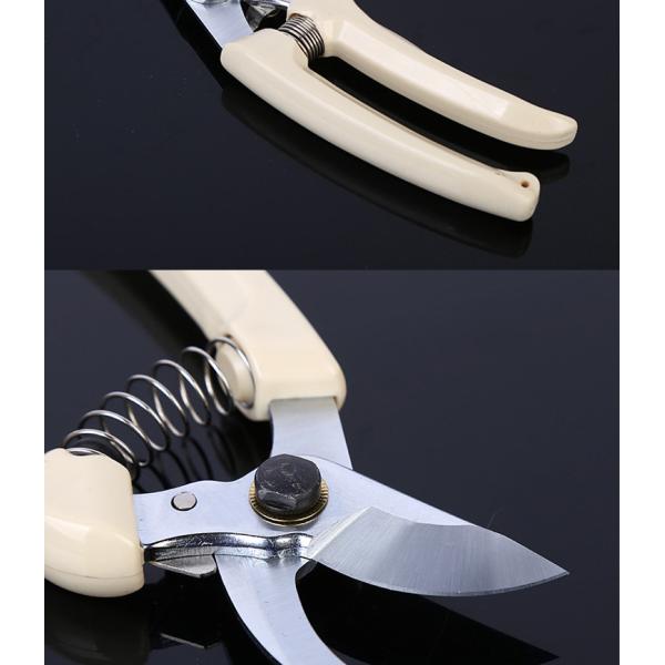 SK5 Manual Pruning Shears Bypass For Garden Fruit Tree OEM ODM