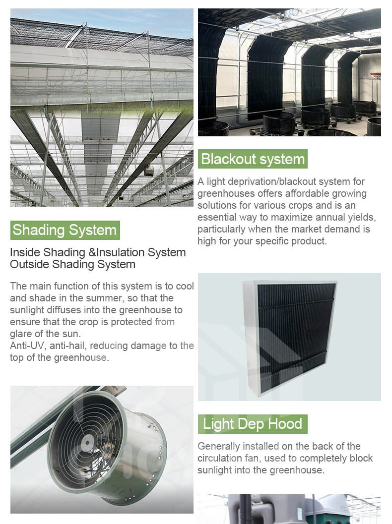 Hot Galvanized Steel Pipes Auto Light Deprivation Greenhouse With Blackout Curtain