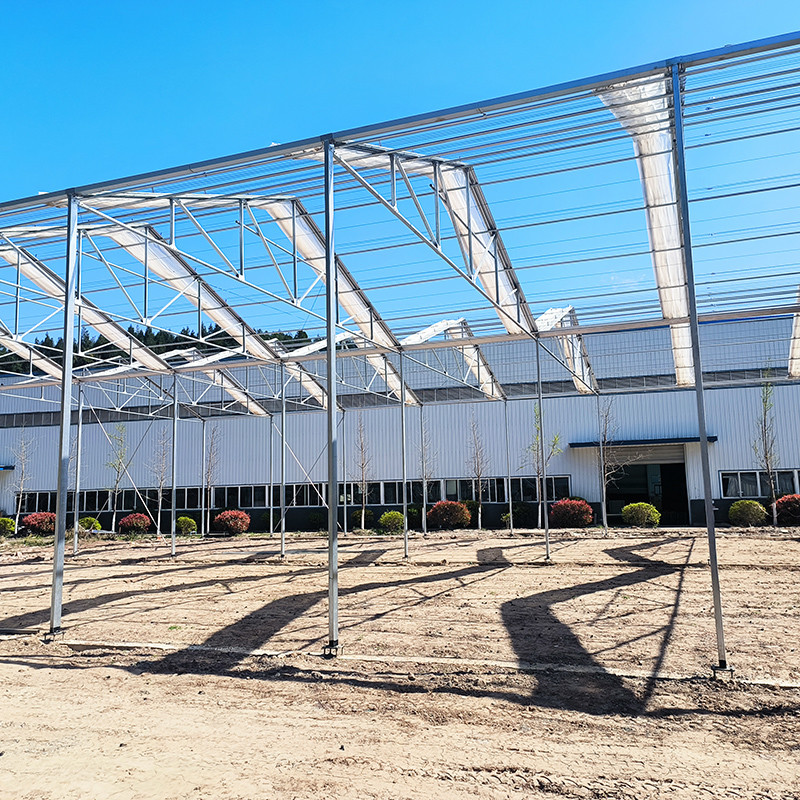 Single Layer Stable Structure Poly Tunnel Greenhouse for Agricultural Retractable Film Automated