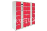 Multifunctional Parcel Delivery Lockers High Power With Facial Recognition
