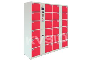 China Multifunctional Parcel Delivery Lockers High Power With Facial Recognition Camera wholesale