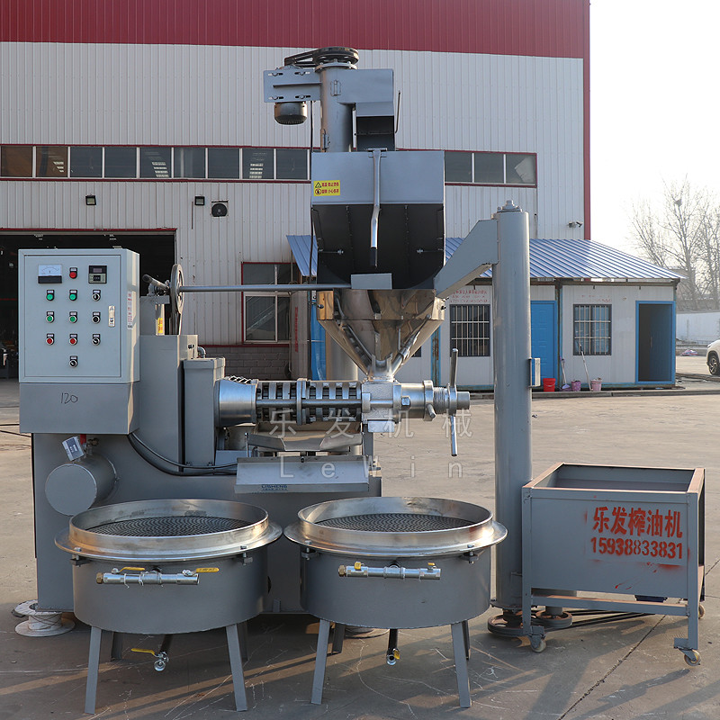 Automatic Coconut Oil Press Machine Pear Seed Oil Expeller 316 Stainless Steel
