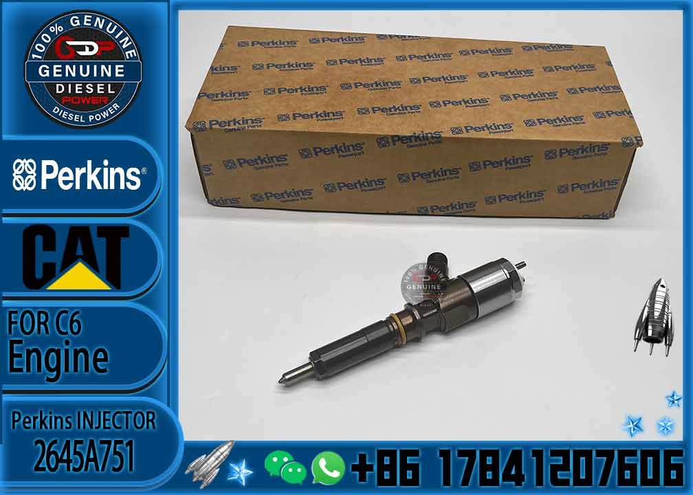 High Quality Professional Densos Gasoline Car Fuel Common Rail Diesel Electric Fuel Injector Assy 2645A751 2645A746 2645