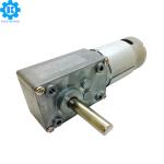 Stainless Steel DC Worm Gear Motor , 5~6000rpm Worm Gear DC Motor 12V