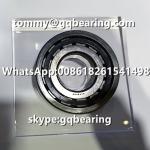 Stock Available NUP209R OD 100mm Cylindrical Roller Bearing 45x100x25mm