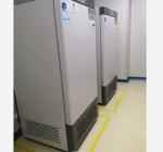 LIYI Plant Growth Chamber Artificial Climate Seed Germination Machine Plant