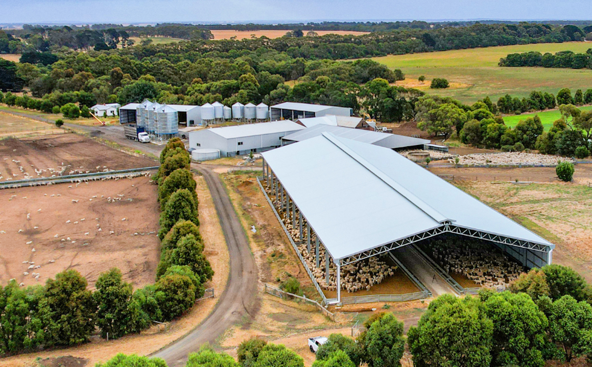 Customized Prefabricated Steel Structure Goat Farming Shed House with Sliding Door