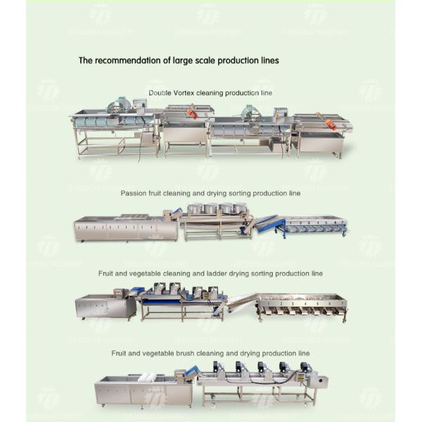 150KG Commercial fruit and vegetable washing machine large bubble washing machine spinach lettuce washing machine