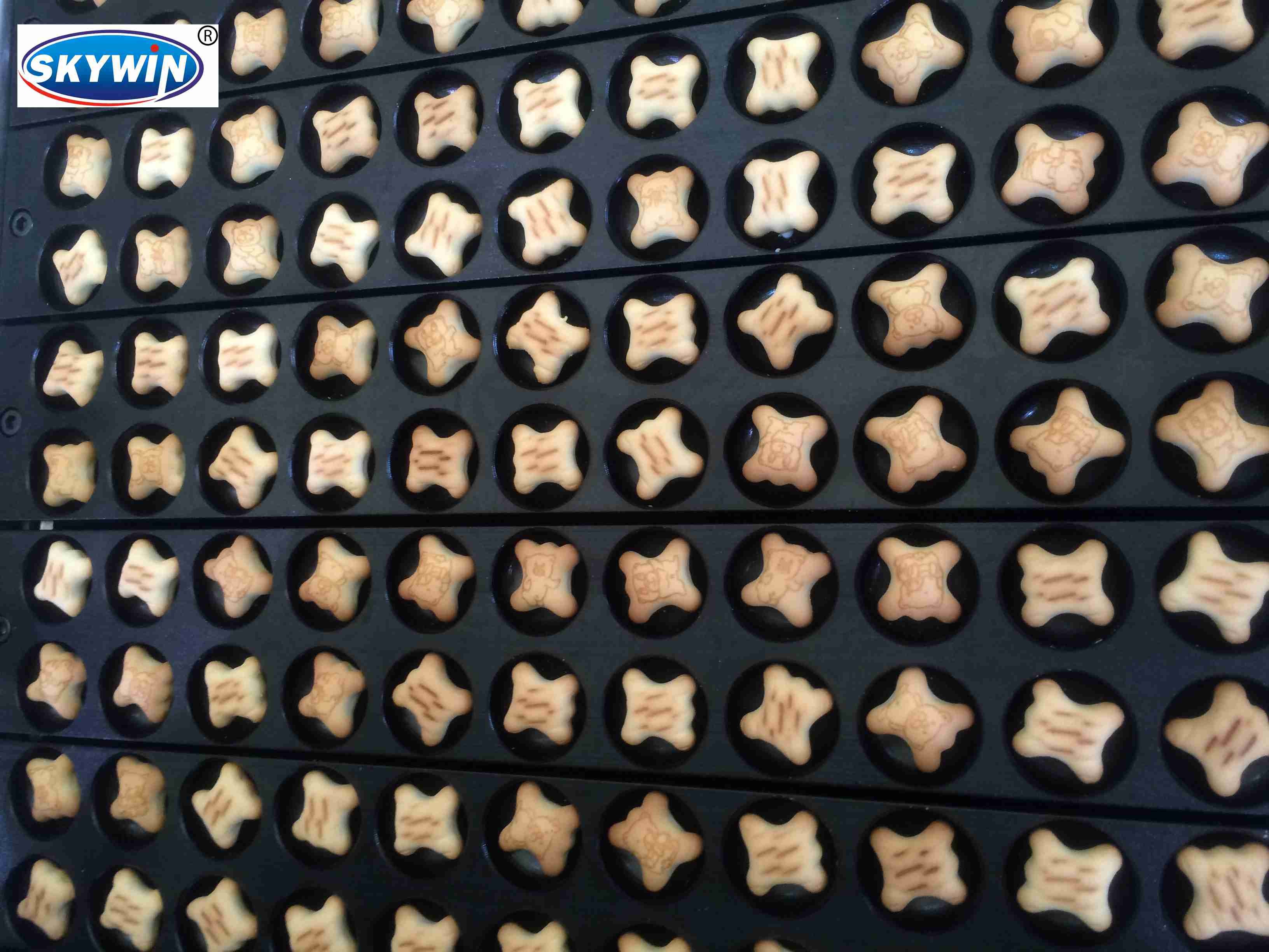 SIEMENS electrical Chocolate Filling Biscuit Making Machine