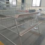 0.75kw 4 Tier 2 Doors Broiler Cage System , U Shape Battery Cage For Broilers