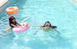 Customized Water Pool Conceptual Design