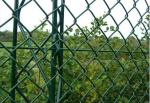20x20 40x40 Galvanized Chain Link Fence Powder Coated