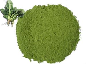 China Dehydrated Spinach Powder wholesale